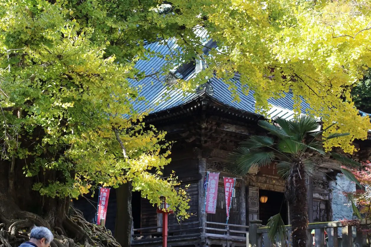 🏯 정법사 (쇼보지) 이미지 9